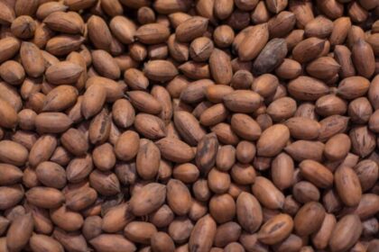 Cocoa Bean Shortage