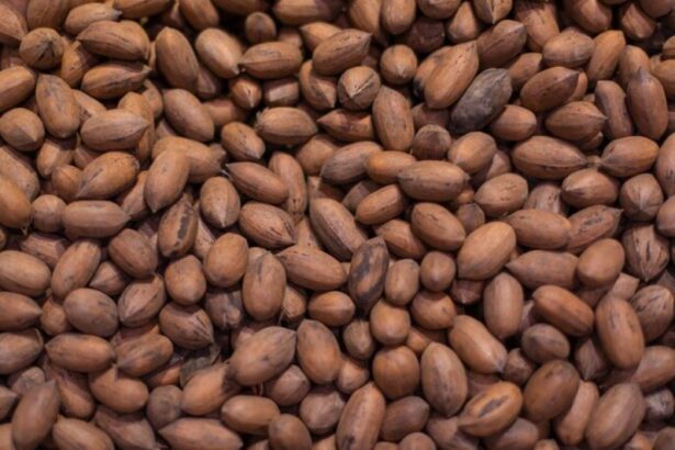 Cocoa Bean Shortage
