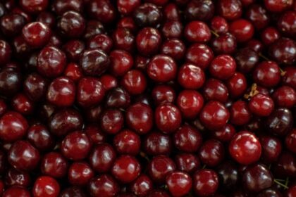 Cranberry Shortage